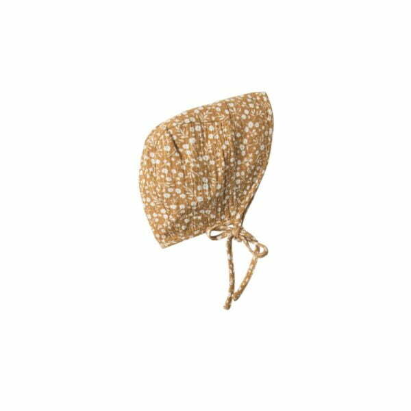 bonnet marigold