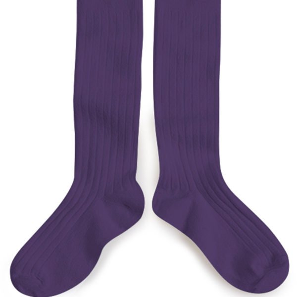 littlecollegienribbedkneehighsocksinirisdeprovence