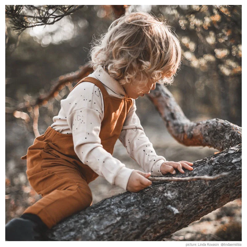 websitesalopetteochre